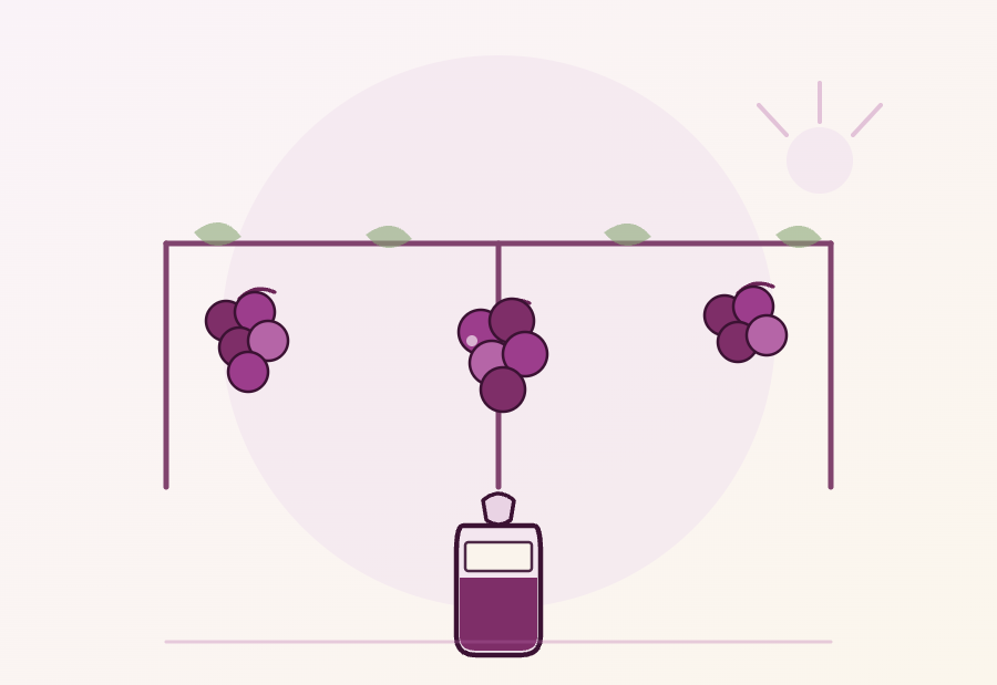 Ilustração de uma parreira com cachos de uvas e uma garrafa de suco de uva